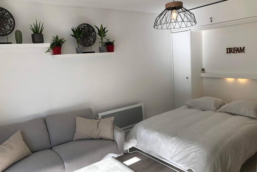 Grand Studio Cabine 30 M² Centre Ville, Refait A Neuf Pour Vous ! Climatise Ла Гранде-Моте Екстериор снимка