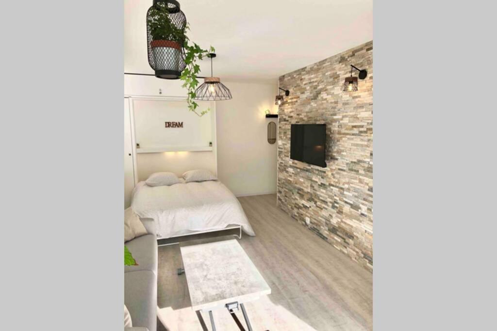 Grand Studio Cabine 30 M² Centre Ville, Refait A Neuf Pour Vous ! Climatise Ла Гранде-Моте Екстериор снимка