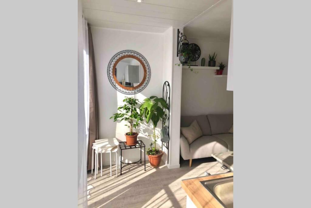 Grand Studio Cabine 30 M² Centre Ville, Refait A Neuf Pour Vous ! Climatise Ла Гранде-Моте Екстериор снимка